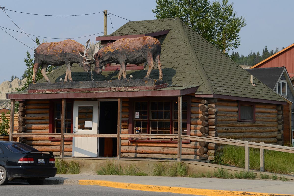 19 Woodcutters Blanket Cocktail Bar Is Located In A 1930s Log Cabin With Two Large Moose Butting Heads Above The Door In Whitehorse Yukon